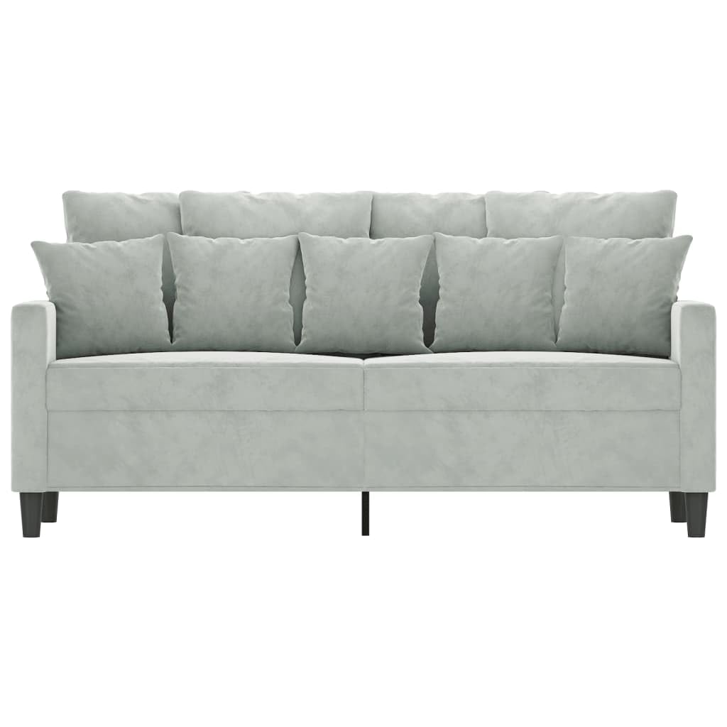 Light Grey Velvet 2-Seater Sofa with Metal Frame B6591