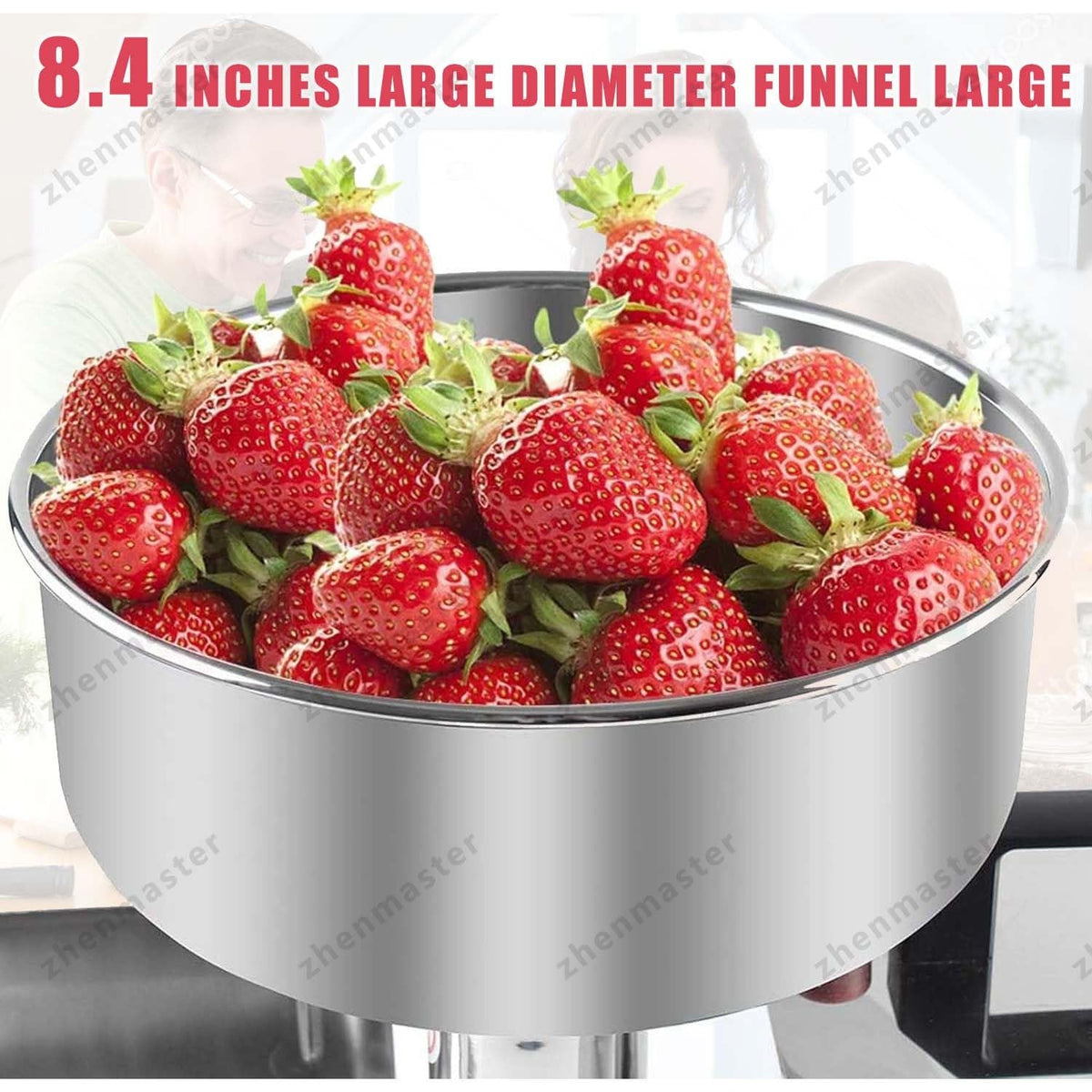 Stainless Steel Electric Tomato Strainer 450W E7585