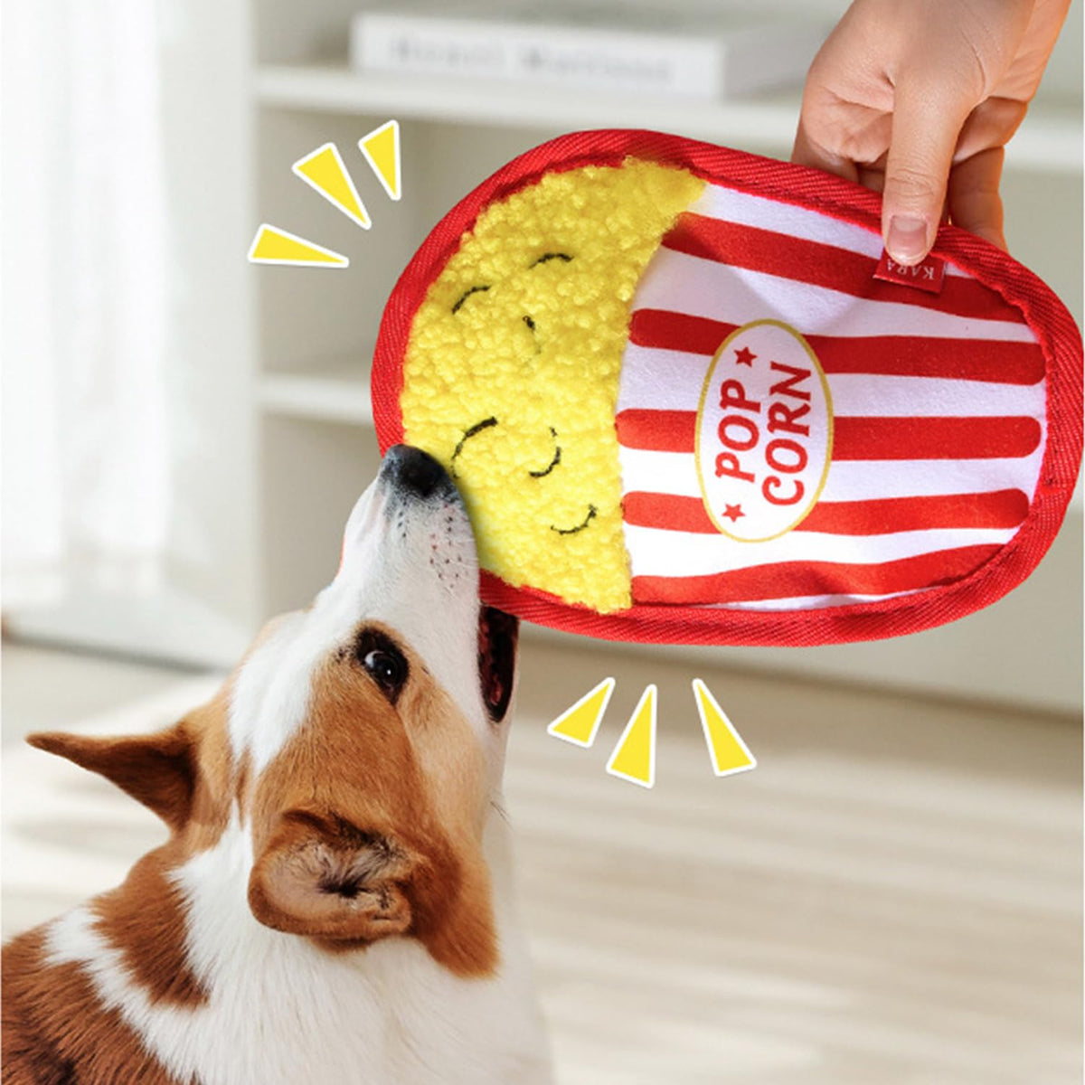 Plush Squeaky Crinkle Dog Toys M1733