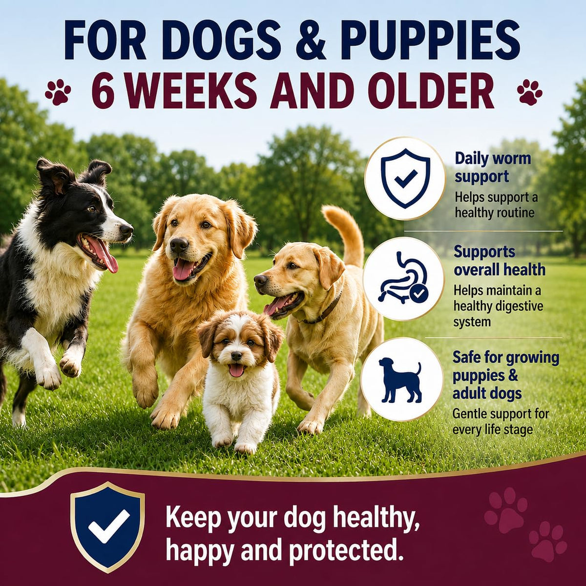 Dewormer for Dogs, 50 Tablets P7823