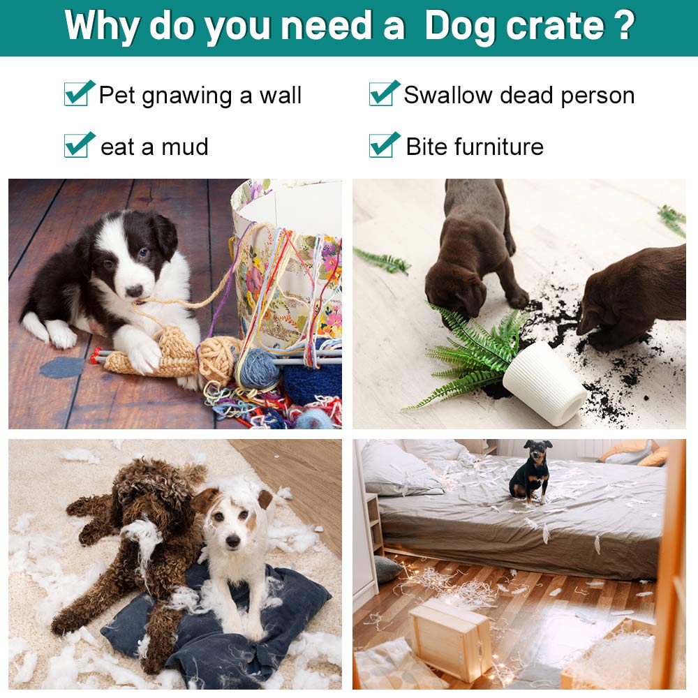 42 Inch Metal Wire Double-Door Folding Dog Crate with Tray S6016
