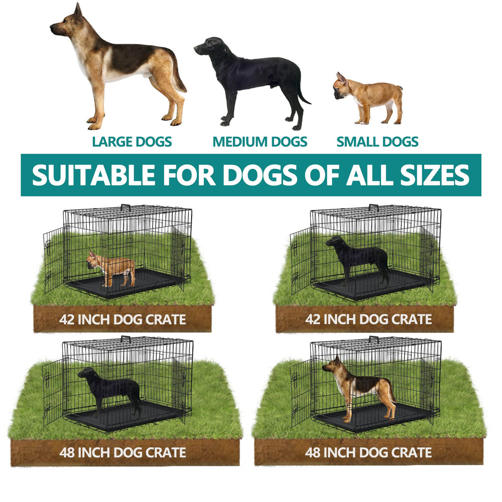 42 Inch Metal Wire Double-Door Folding Dog Crate with Tray S6016