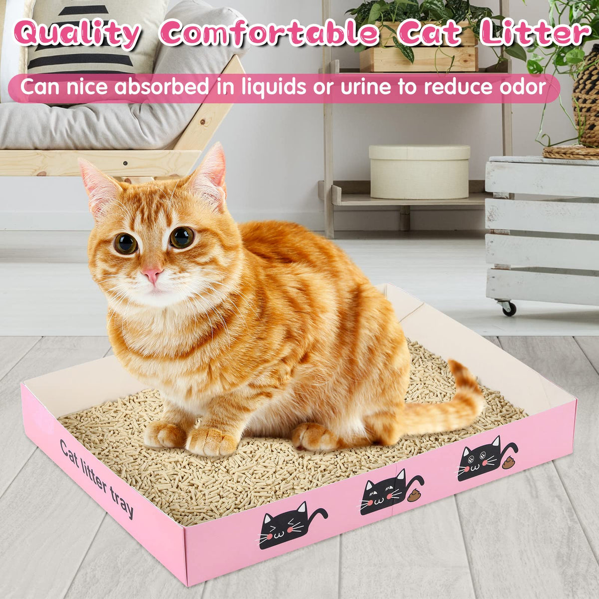 30 Pack Disposable Paper Cat Litter Box Z7525