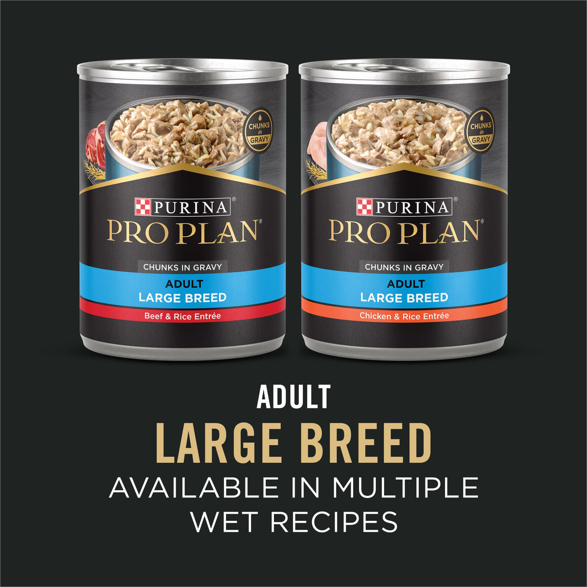 Chicken & Rice Large Breed Dry Dog Food 34 lb Bag D504336
