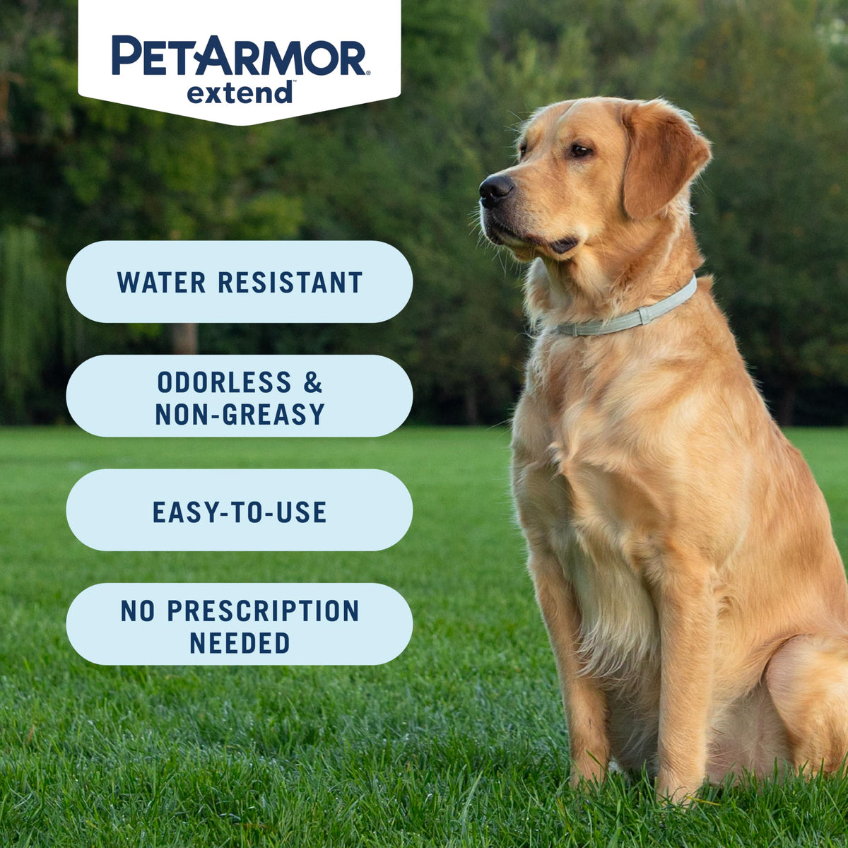 Large Dog Flea and Tick Collar 8 Months Protection L861